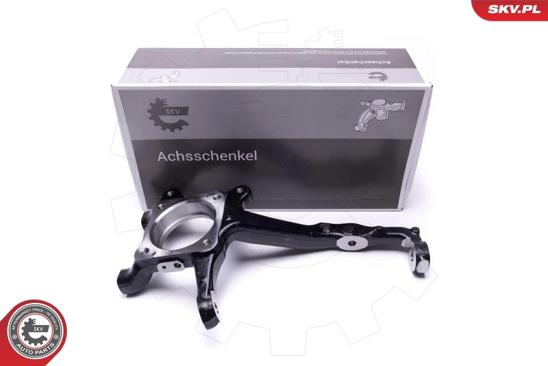Steering Knuckle, wheel suspension